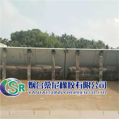 Porth y Gollwng Niwmatig